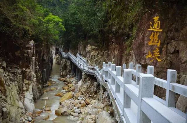 九峰山摄影图片,九峰花海摄影