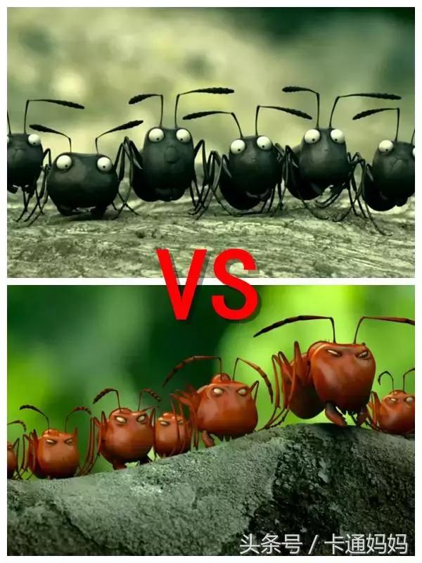 昆虫的微观小世界,微观世界每只昆虫都有它的故事