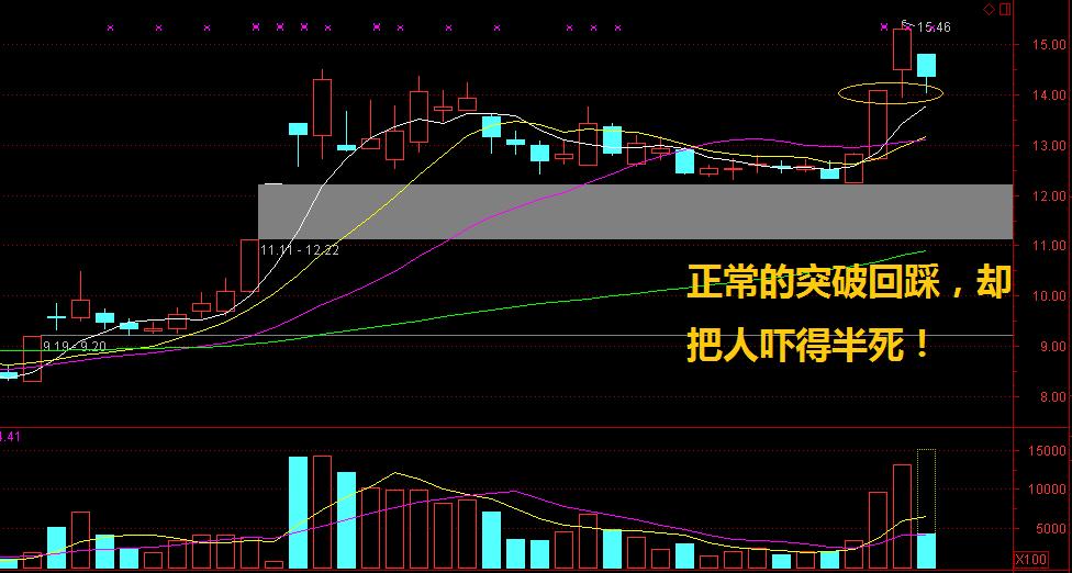 发现股市真相干货系列,股市大雷最新消息