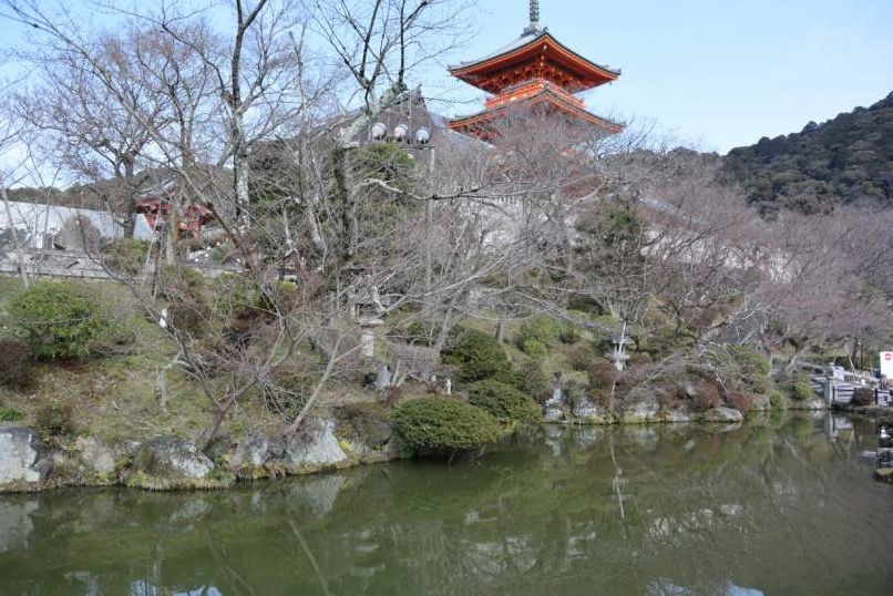 2019京都赏樱,京都樱地之花开时间