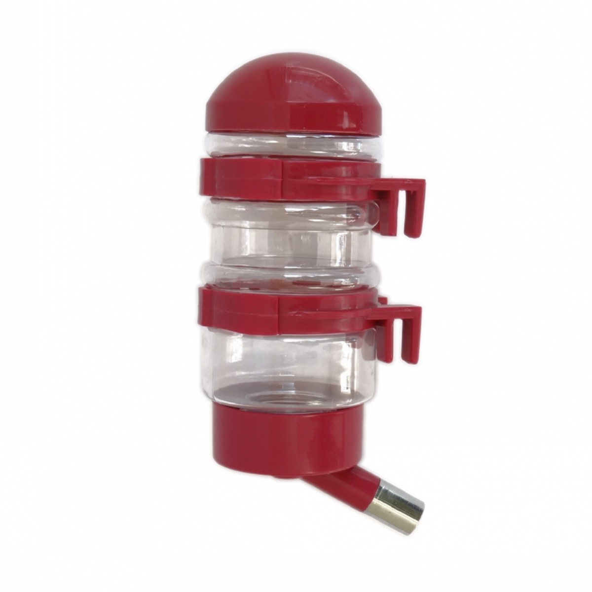 汪星人可以喂狗吗,汪星人怎么养狗