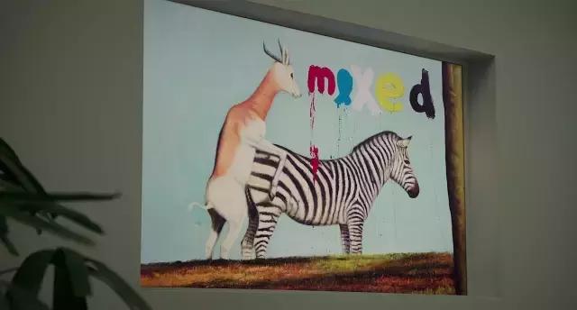 绝命毒师怒怼付兰兰,美国山寨居然这么良心