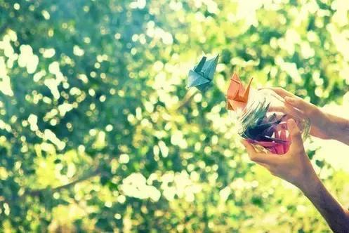 佛说万法皆空心境自由,佛说善言善语