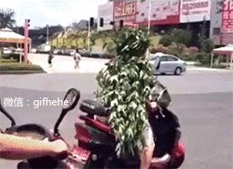 大爷！求你出山吧！中国足球还是得指着*江老**湖啊