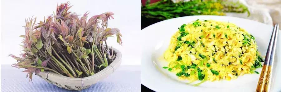 泼水节云南德宏游客视角,德宏泼水节孔雀舞申报吉尼斯纪录