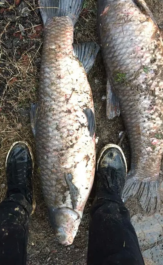 「八」钓线篇,下:颜色不代表线的好坏,细节能看出质量的深度