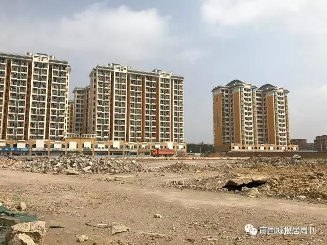 沙井刚拍出的地块,沙井新拍地块