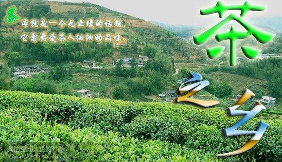 缺一不可！泉州特产大全，快收藏吧！