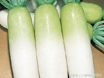 感冒了食疗最好的方法是什么,感冒养生吃什么