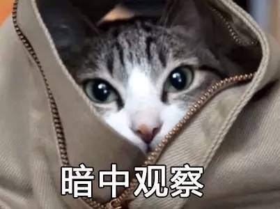 毒男、肉食女，这些日本流行语太黄暴！