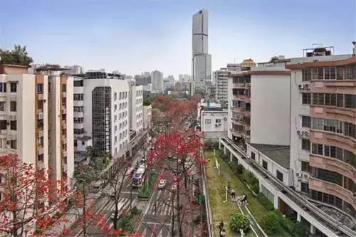 俯瞰广州最美的视角,上帝的视角看地球简直美爆了