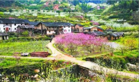 九峰山摄影图片,九峰花海摄影