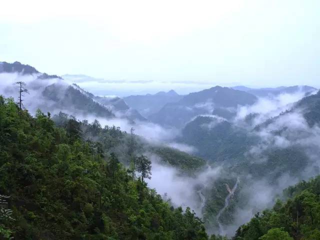九峰山摄影图片,九峰花海摄影