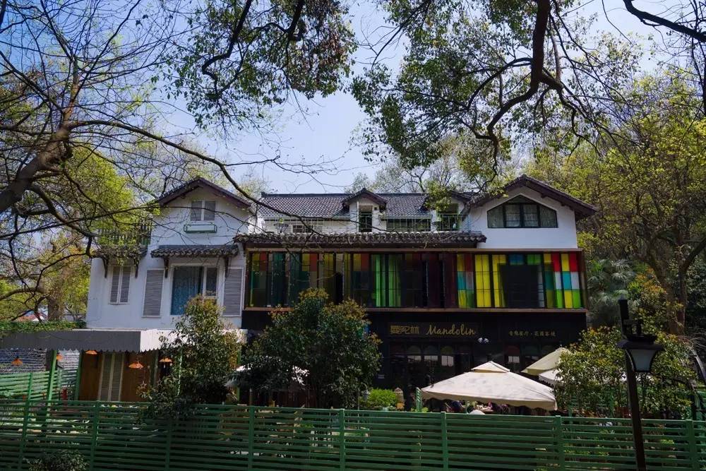 玉皇山下这家花园餐厅歧视单身狗!这么大的鱼头叫我怎么吃