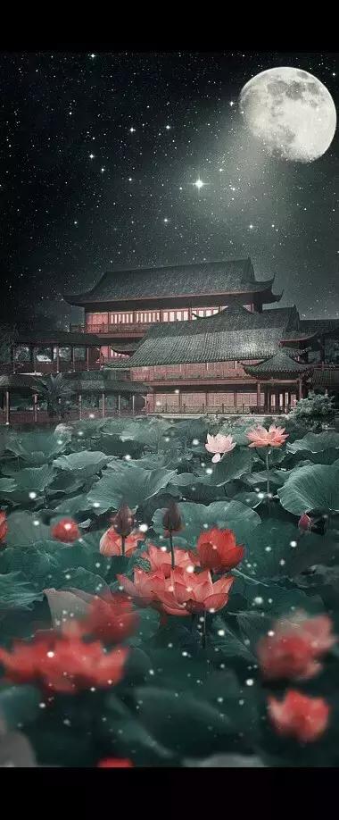 如果一个人不相信你该怎么办,身边的人不相信自己怎么办