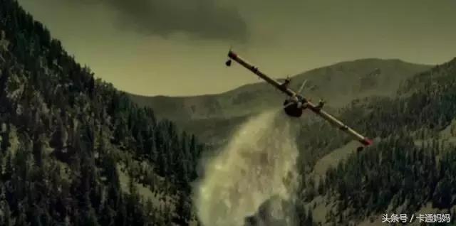 昆虫的微观小世界,微观世界每只昆虫都有它的故事