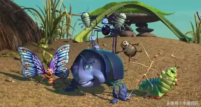 昆虫的微观小世界,微观世界每只昆虫都有它的故事