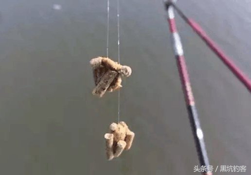 快速避小鱼,避小鱼的方法