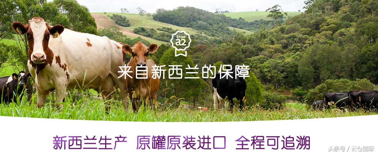 揭秘品牌奶粉,什么才是真正原装进口奶粉