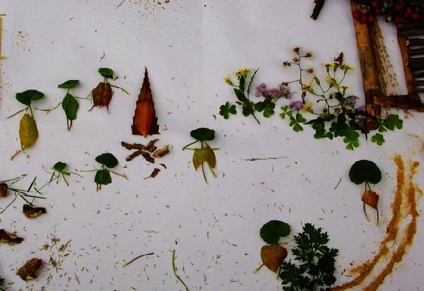 成都周末｜全国九城艺术联展，艺术的魅力一起来赏