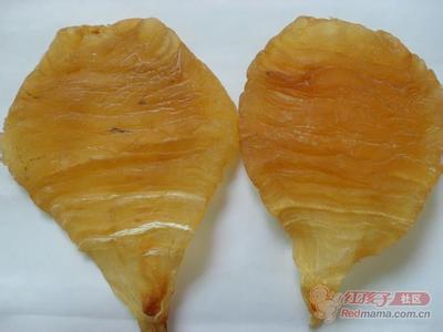 是不是所有的鱼都可以做成鱼汤,加工鱼鳔