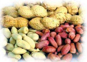 缺一不可！泉州特产大全，快收藏吧！