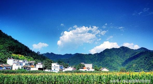 发现秦岭之美,发现陕西之美作文