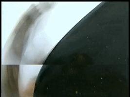 小伙子结婚也太激动了，新娘差点被摔伤呀！