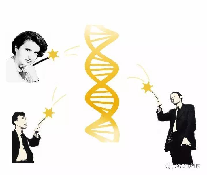 下一代测序技术原理,测序的原理