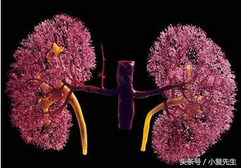 肌酐和尿素高多少会引起肾衰竭,慢性肾病血肌酐有点偏高饮食注意