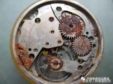 回南天怎么保护谷子,回南天的防范方法