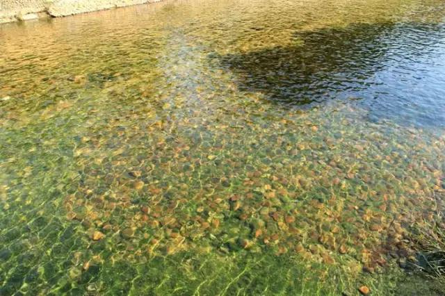 深圳单车爬山攻略推荐,来深圳必游的五大景点