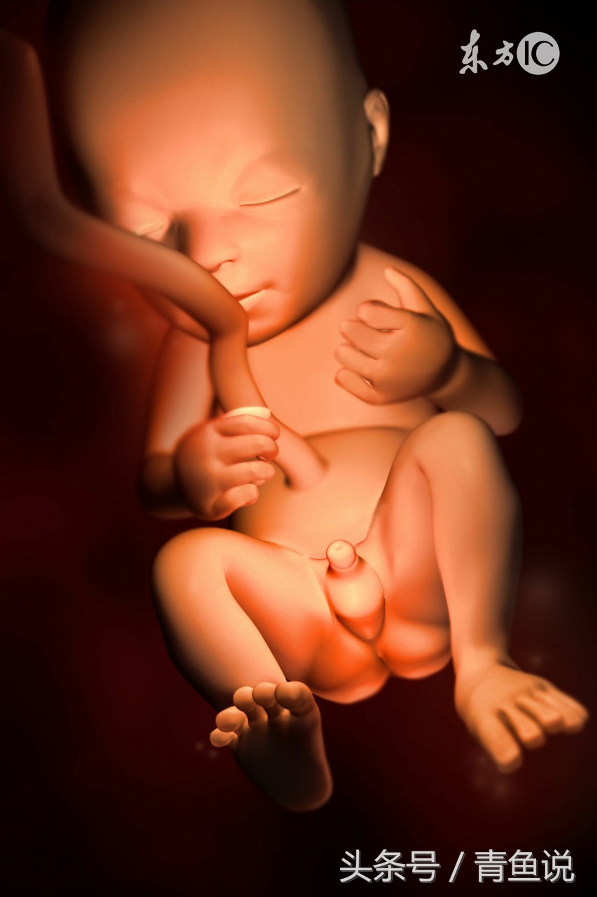 怀孕25周糖耐偏高可以降下来吗,孕妇耐糖为什么要24-28周