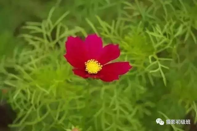 摄影新手必学的20种基础构图,摄影11种构图技巧