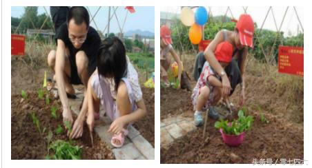 永州现真人开心农场-你还让人偷菜吗?