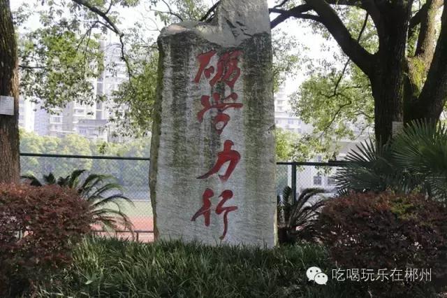 郴州一中全部排名,郴州新一中好吗