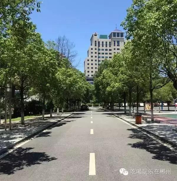 郴州一中全部排名,郴州新一中好吗