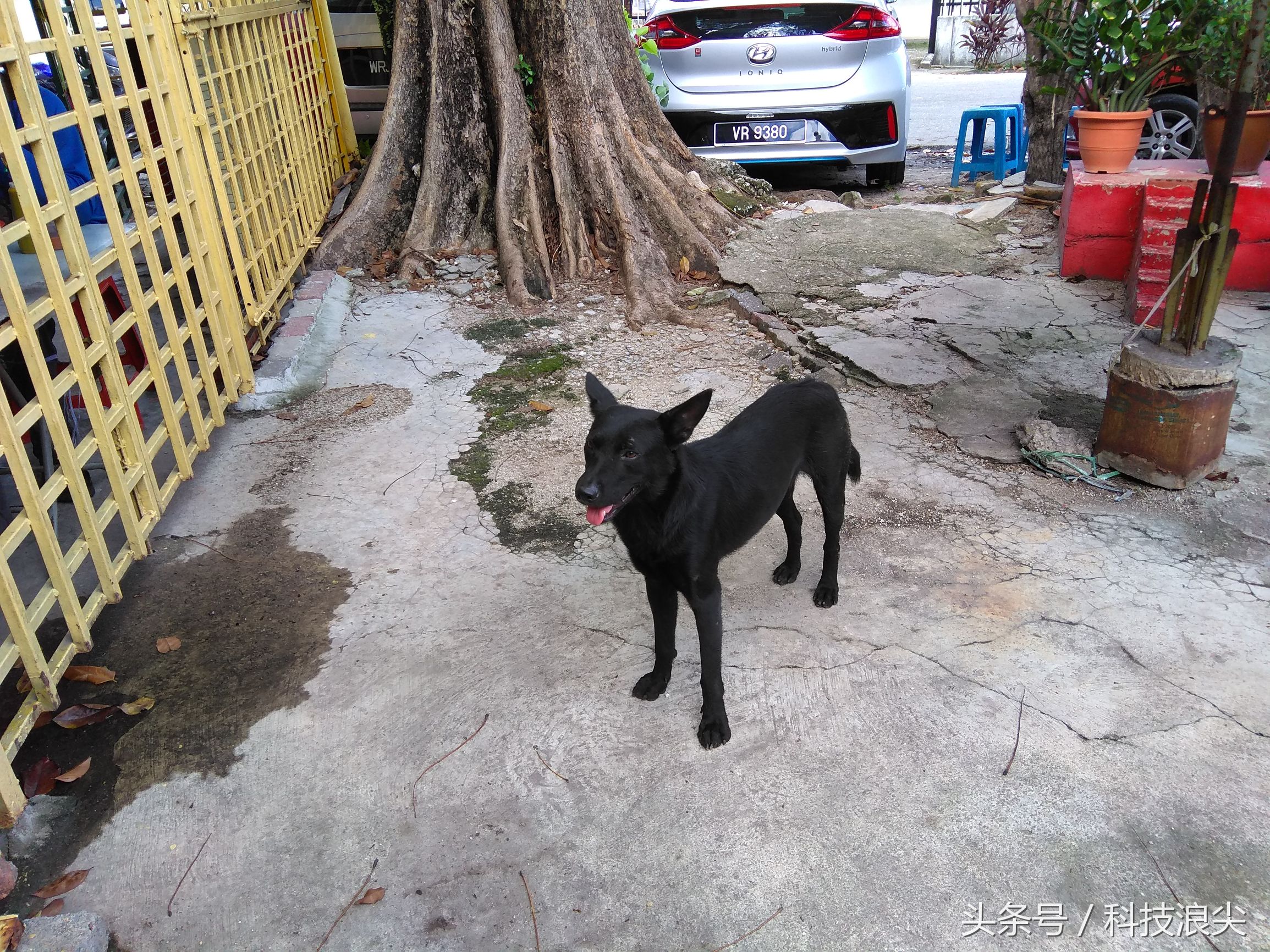 红米note4x评测,红米note4x评测支持电信卡吗