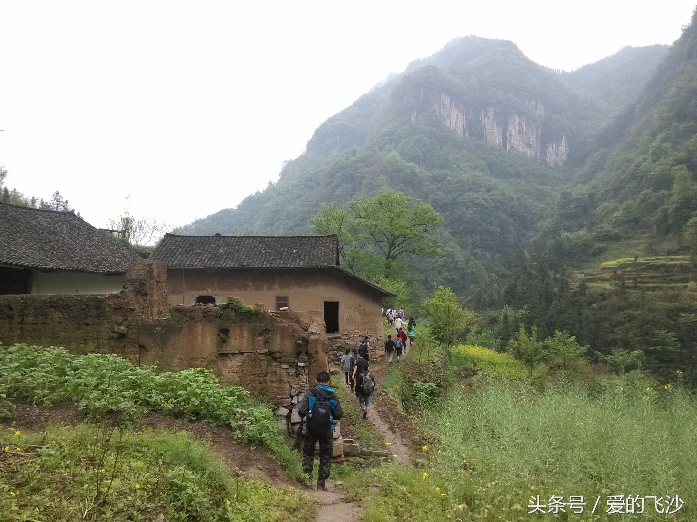 奇迹旅行南极新春之旅起航,奇迹旅行跨年夜