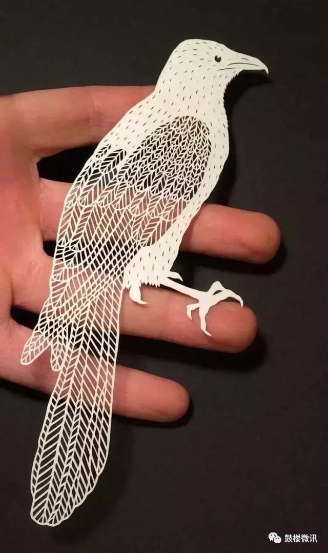 一张白纸也能成为艺术品,艺术一张白纸