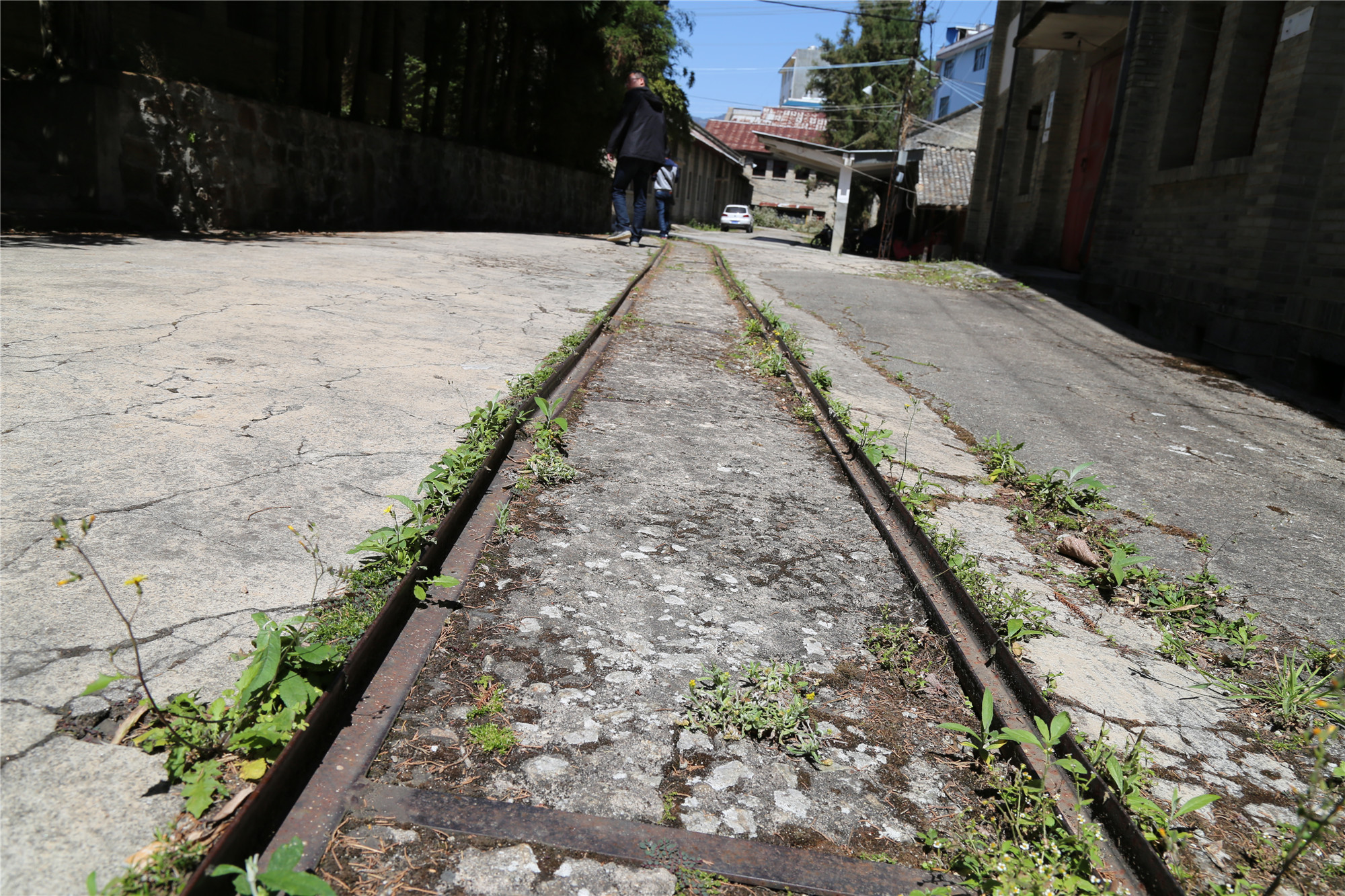 滇红记忆中国名茶,滇红创始人冯绍裘