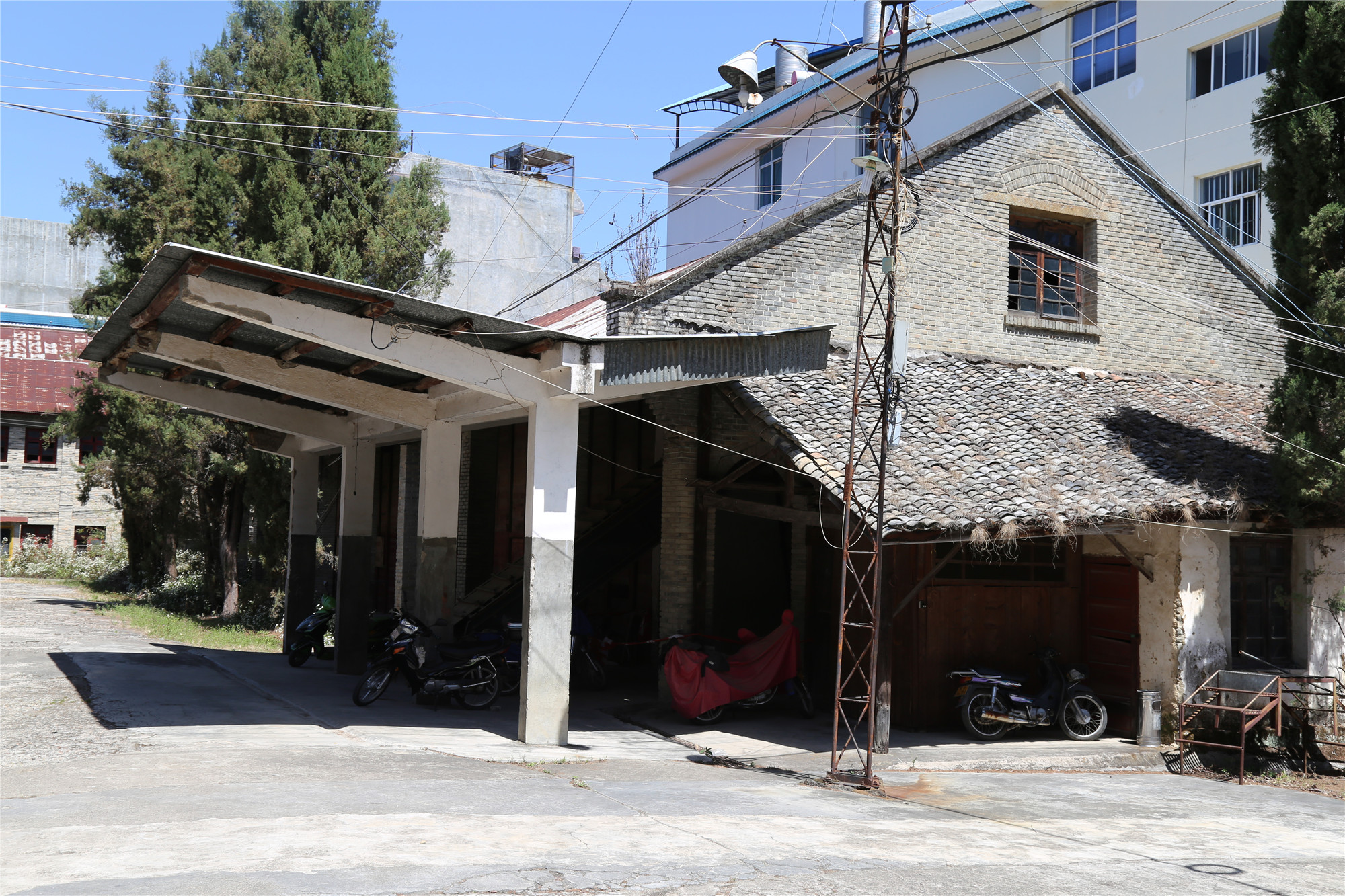 滇红记忆中国名茶,滇红创始人冯绍裘