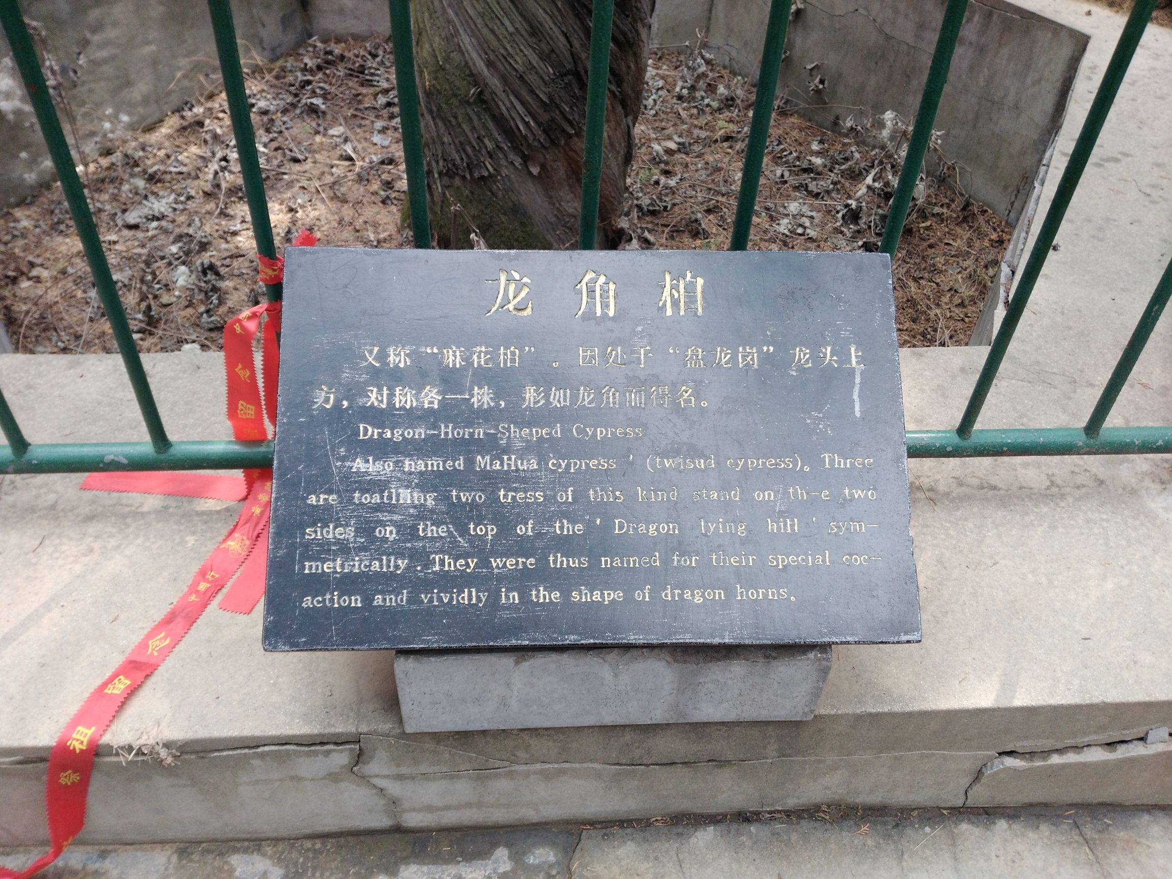 黄帝陵天下第一陵国务院古墓编号,黄帝陵天下第一陵图片