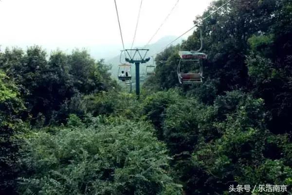 免费公园南京,南京十大公园排行榜