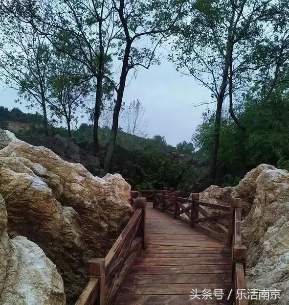 免费公园南京,南京十大公园排行榜