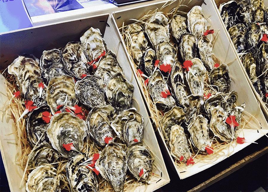 逆天啦,海鼎荟厦门生蚝