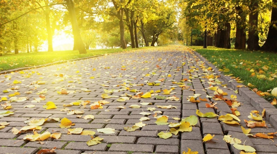 是死是活，按百分算医疗只占8分