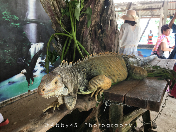 到巴厘岛的感受,到巴厘岛后怎么去蓝梦岛