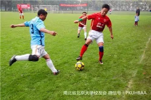 武汉大学第二届校友足球嘉年华,武汉大学足球对抗赛