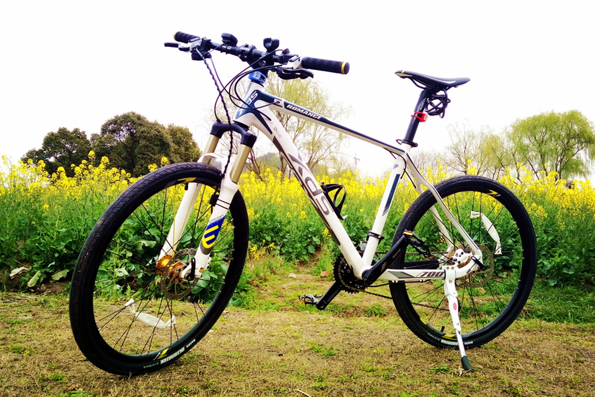 让x(叉)d(得)s(爽)带我飞简评喜德盛传奇700